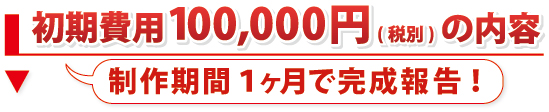 初期費用100,000円(税別)の内容